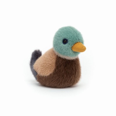 Jellycat Mallard Birds USA | 61703RNWP